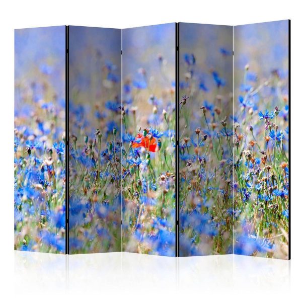 Room Divider - A sky-colored meadow - cornflowers II