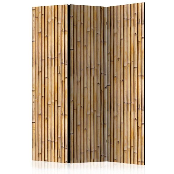 Room Divider - Amazonian Wall