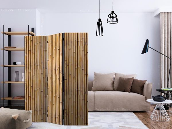Room Divider - Amazonian Wall