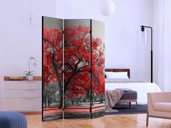 Room Divider - Autumn in the Park