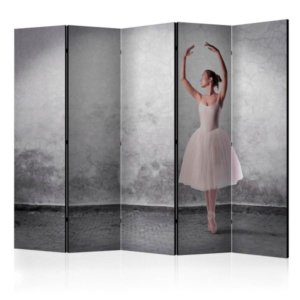 Room Divider - Ballerina in Degas paintings style II