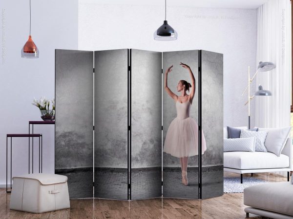 Room Divider - Ballerina in Degas paintings style II