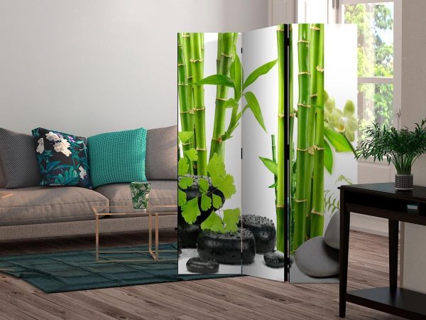 Room Divider - Bamboos and Stones