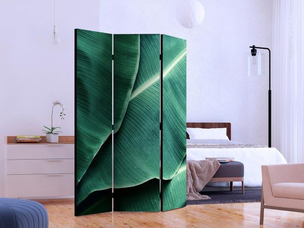 Room Divider - Banana Leaf