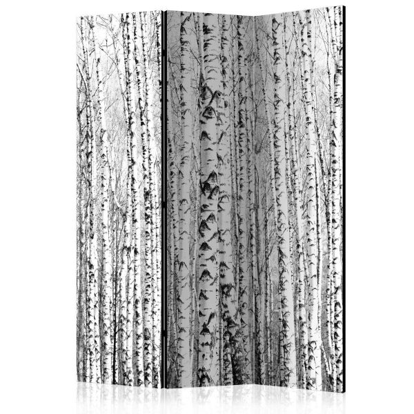 Room Divider - Birch forest