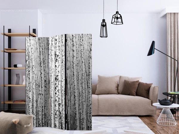Room Divider - Birch forest