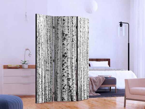 Room Divider - Birch forest