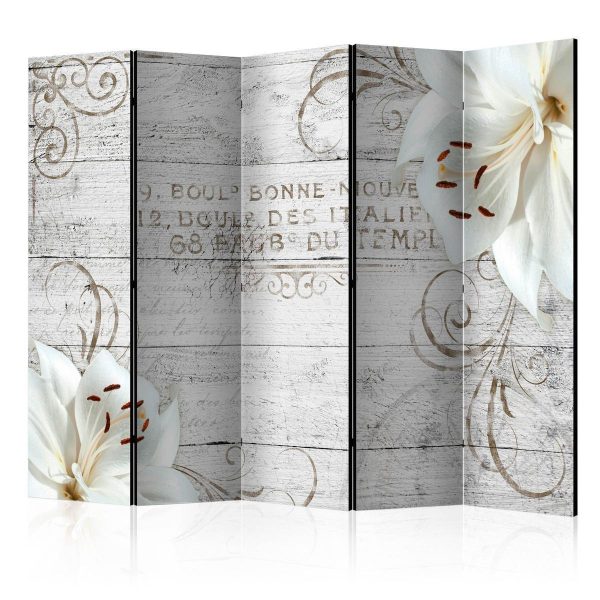 Room Divider - Bonne Nouvelle II