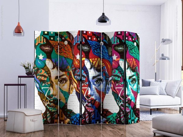 Room Divider - Colorful Faces II
