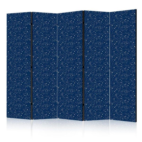 Room Divider - Cosmic Inspirations - Pattern with Stars and Constellations on a Dark Background