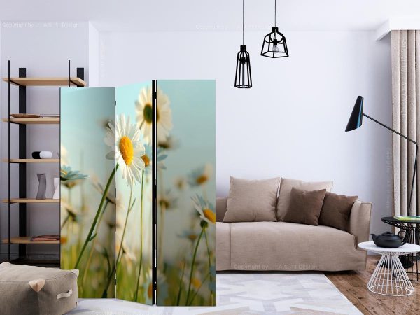 Room Divider - Daisies - spring meadow