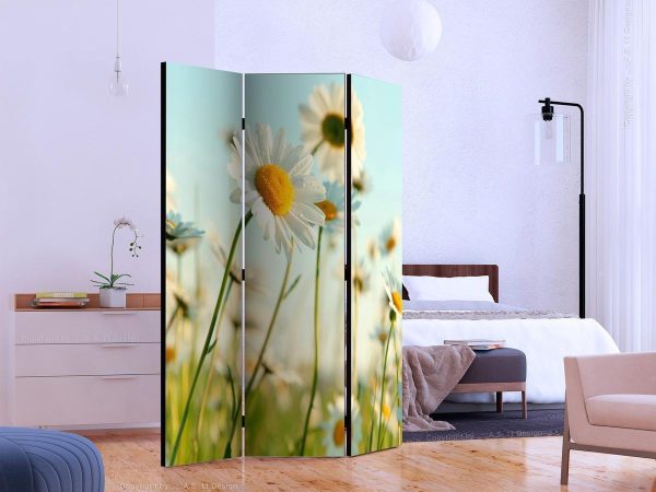 Room Divider - Daisies - spring meadow