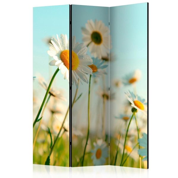 Room Divider - Daisies - spring meadow