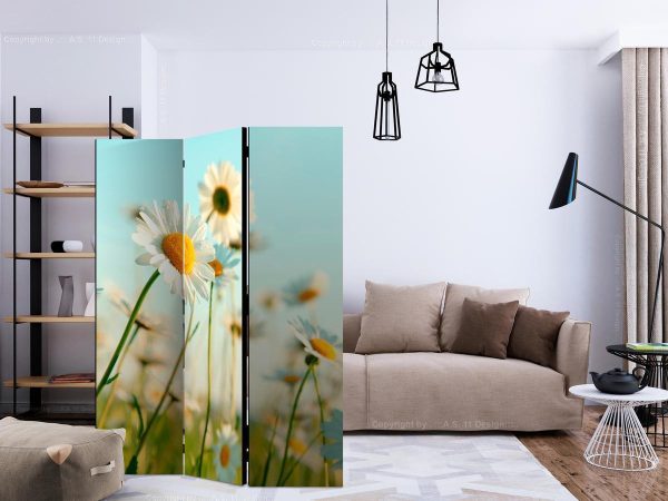 Room Divider - Daisies - spring meadow