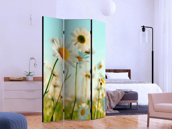 Room Divider - Daisies - spring meadow