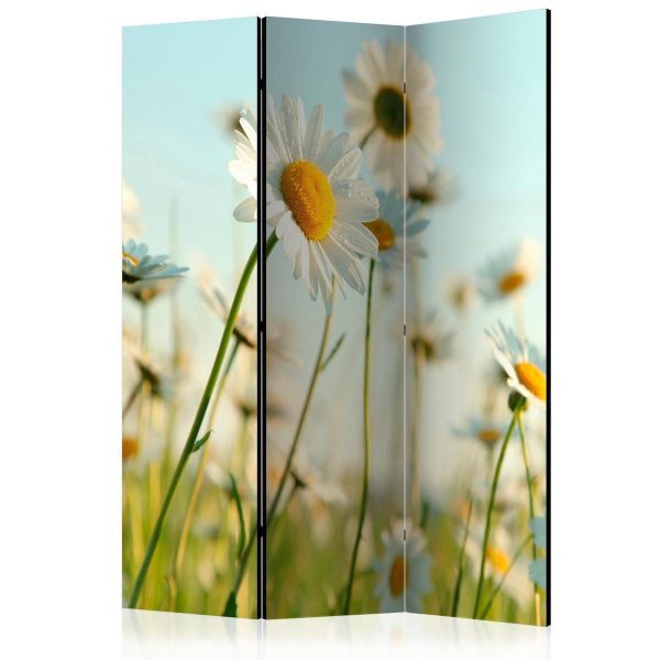 Room Divider - Daisies - spring meadow