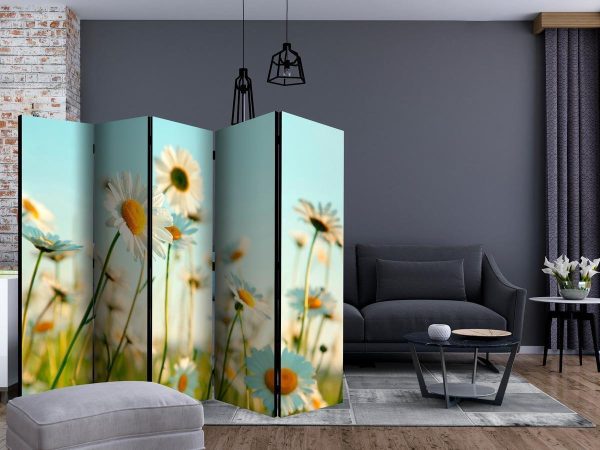 Room Divider - Daisies - spring meadow II