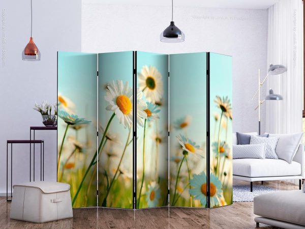 Room Divider - Daisies - spring meadow II
