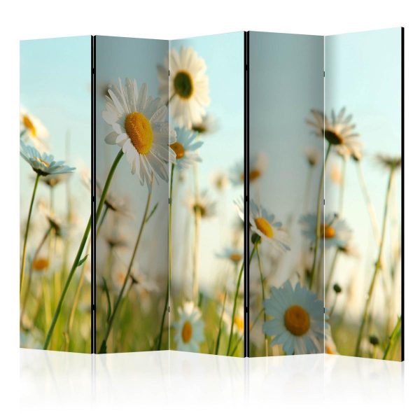 Room Divider - Daisies - spring meadow II