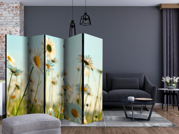 Room Divider - Daisies - spring meadow II