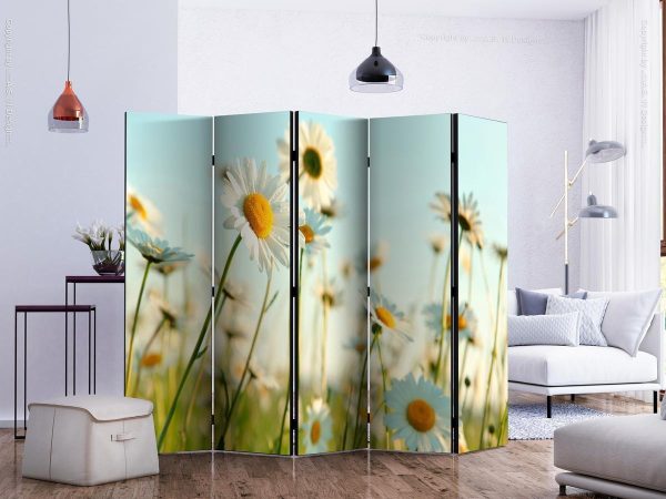 Room Divider - Daisies - spring meadow II