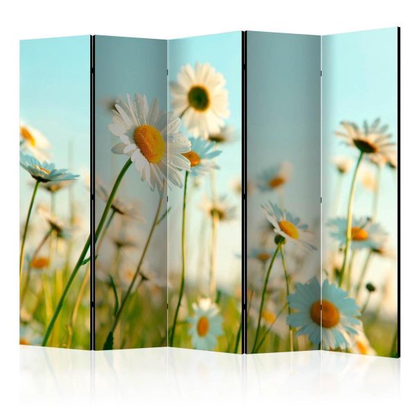 Room Divider - Daisies - spring meadow II