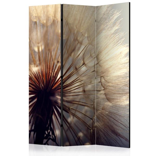 Room Divider - Dandelion Kiss