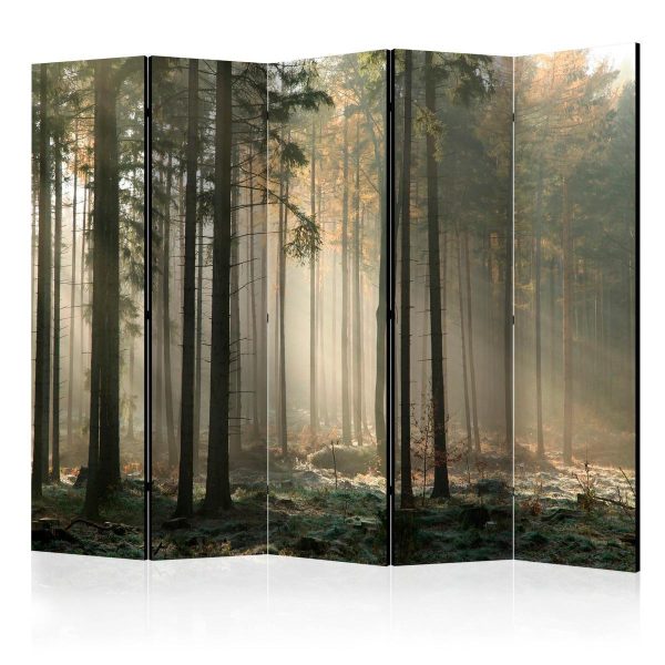 Room Divider - Foggy November morning II