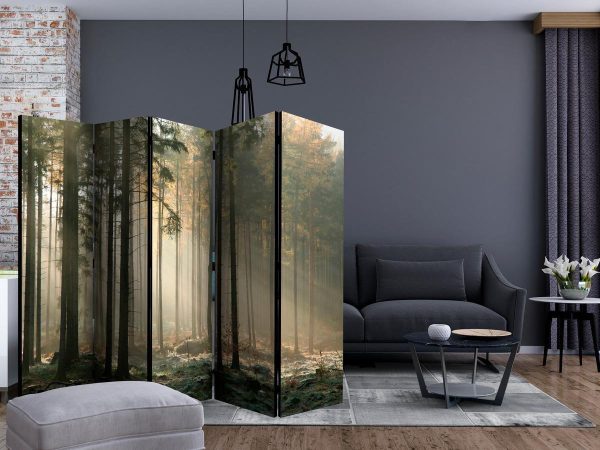 Room Divider - Foggy November morning II