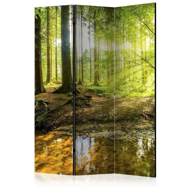 Room Divider - Forest Lake