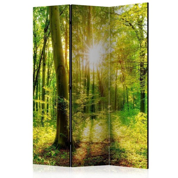 Room Divider - Forest Rays