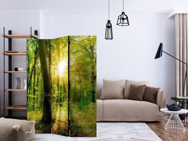 Room Divider - Forest Rays
