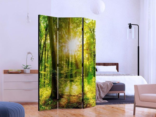 Room Divider - Forest Rays