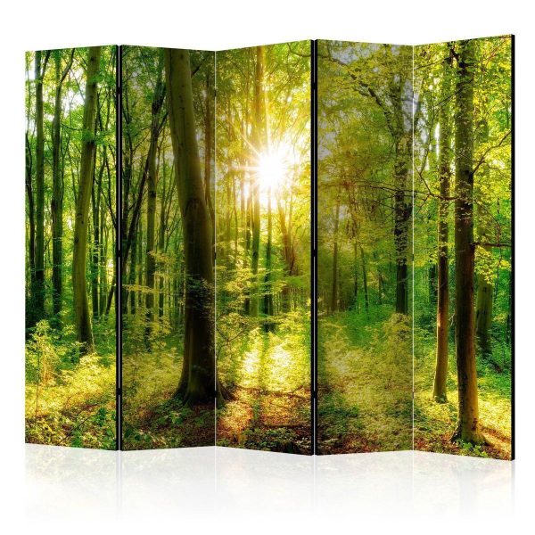 Room Divider - Forest Rays II
