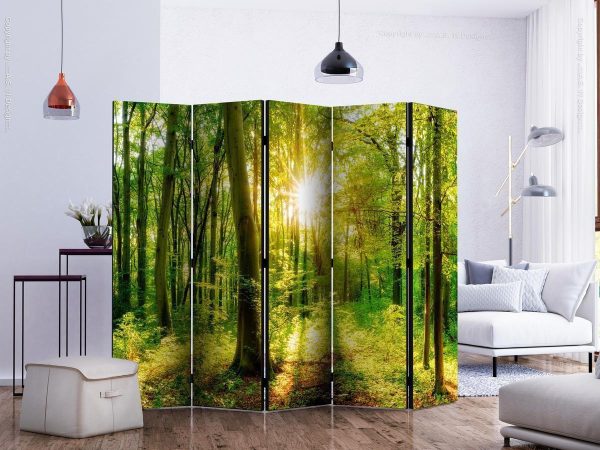 Room Divider - Forest Rays II