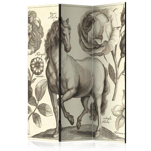 Room Divider - Horse