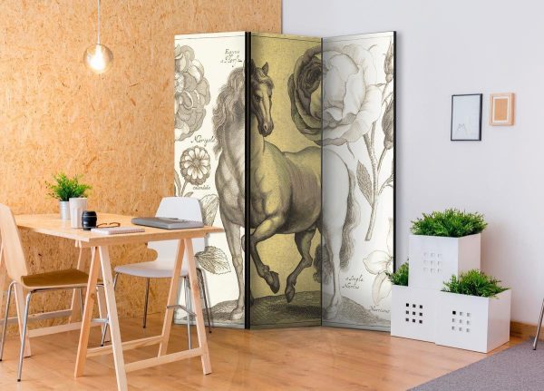 Room Divider - Horse
