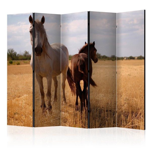 Room Divider - Horse and foal II