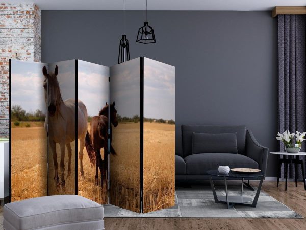 Room Divider - Horse and foal II