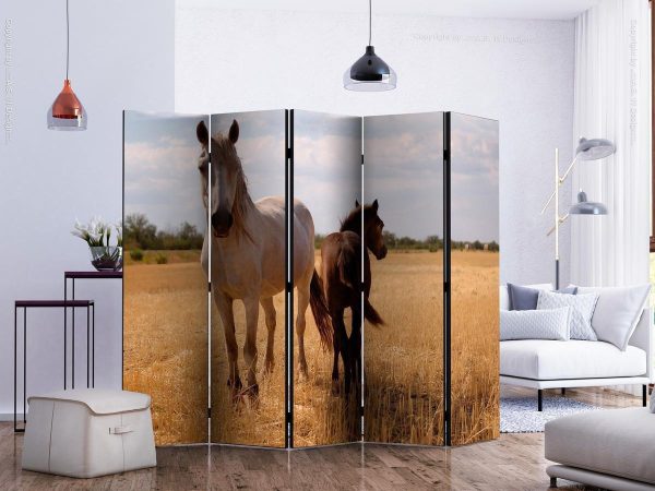 Room Divider - Horse and foal II