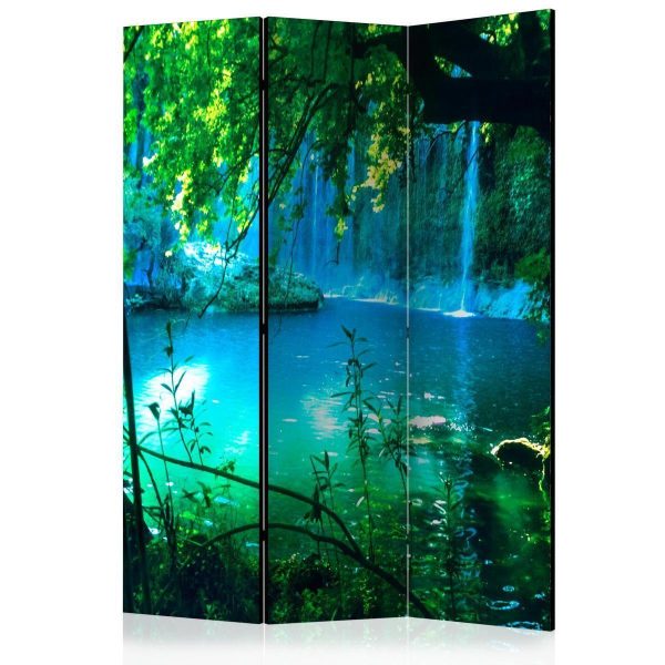 Room Divider - Kursunlu Waterfalls