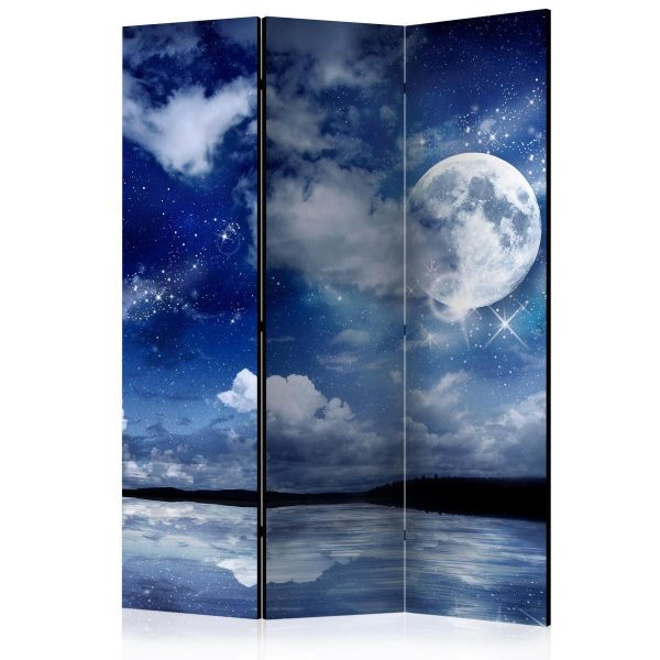 Room Divider - Magic Night