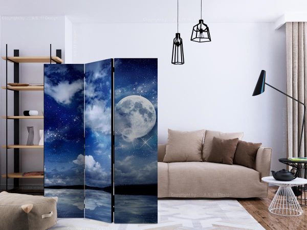 Room Divider - Magic Night