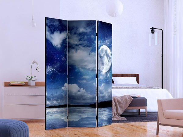Room Divider - Magic Night