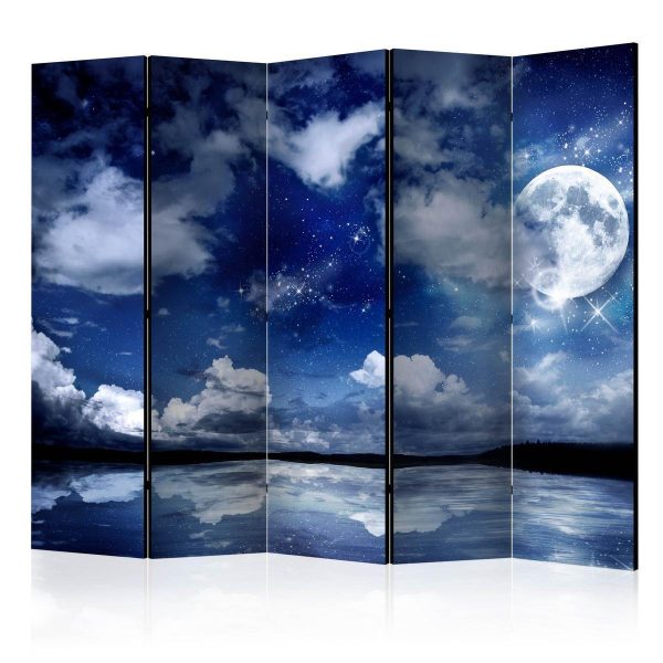 Room Divider - Magic Night II