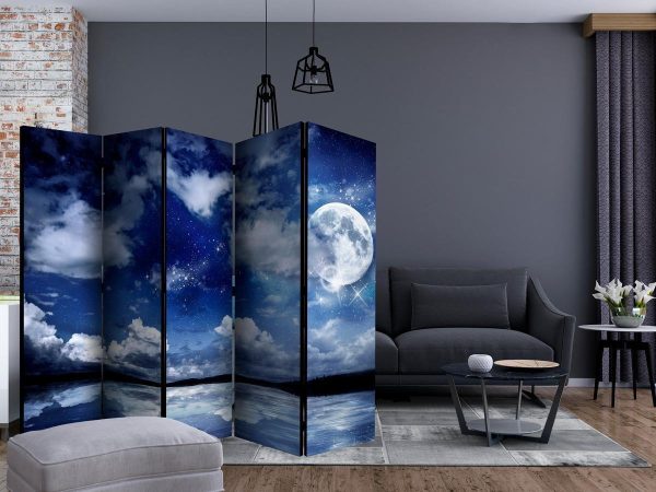 Room Divider - Magic Night II