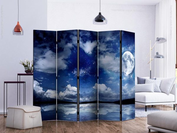Room Divider - Magic Night II