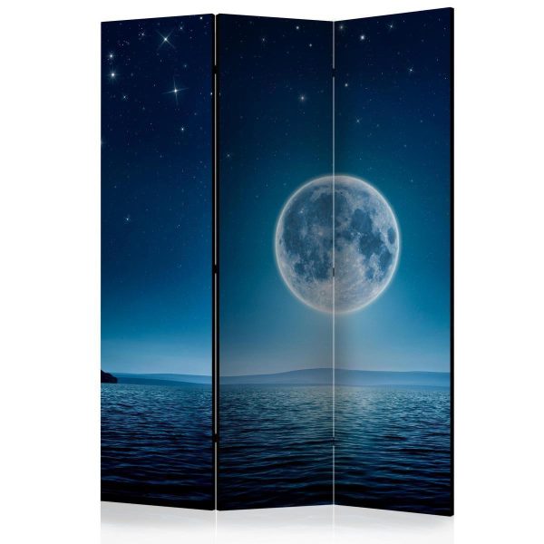 Room Divider - Moonlit night