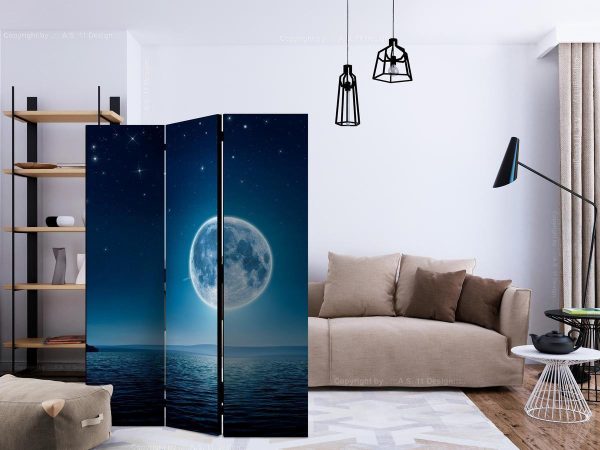 Room Divider - Moonlit night
