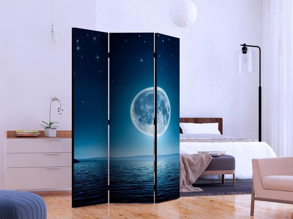Room Divider - Moonlit night